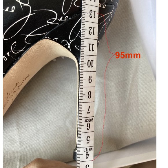 NEW MANOLO BLAHNIK Limited Edition Hangisi Pump - Picture 11 of 11